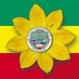 የለቡ ደብረ ታቦር በዓለወልድ እና አበ ብዙኃን አብርሃም ገዳም ኆህተ ሕይወት ሰንበት ት/ቤት