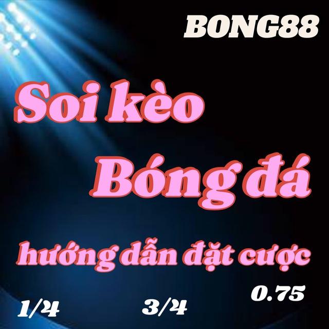 HƯỚNG DẪN CƯỢC BÓNG