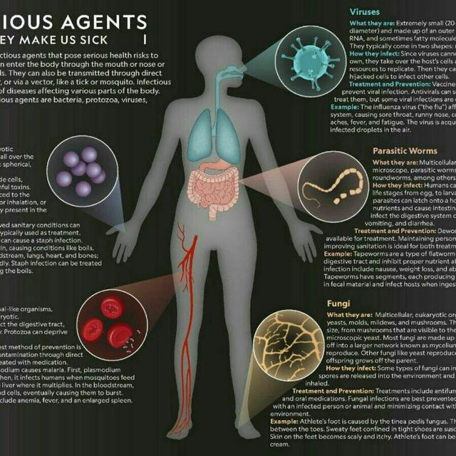 🔬 الطب المخبري والتشخيصي🔬