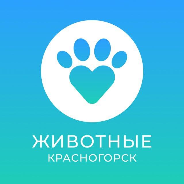 Животные Красногорск