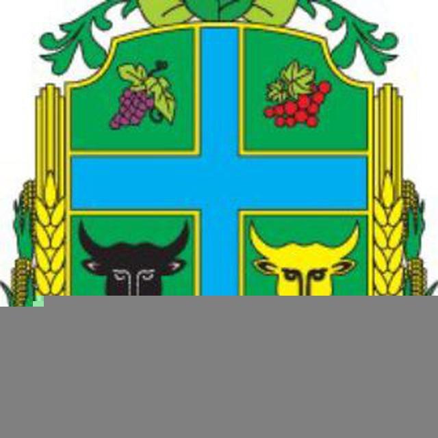 Новоселиця INFO