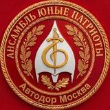 Юные Патриоты, ансамбль