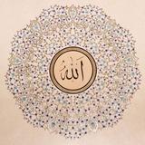 قناة ماجد السُّلمي