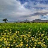 🌼طبیعت ایجان🌼