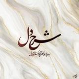 شرح دل🕊