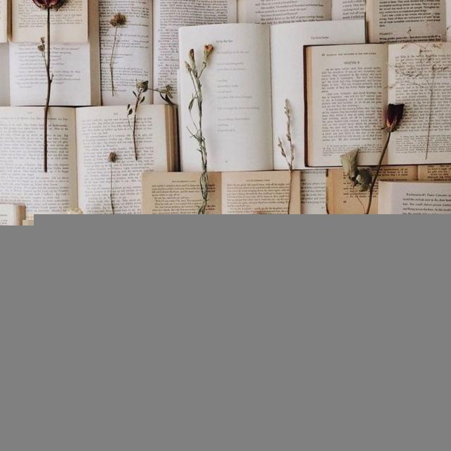 Kitap Evreni