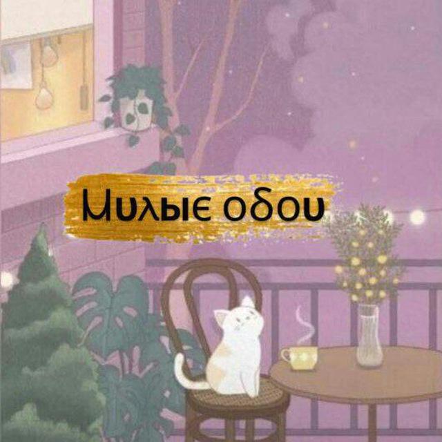 ✨Милые обои✨