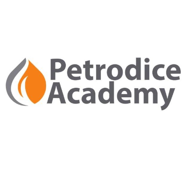 PETRODICE ACADEMY (OFFICIAL)