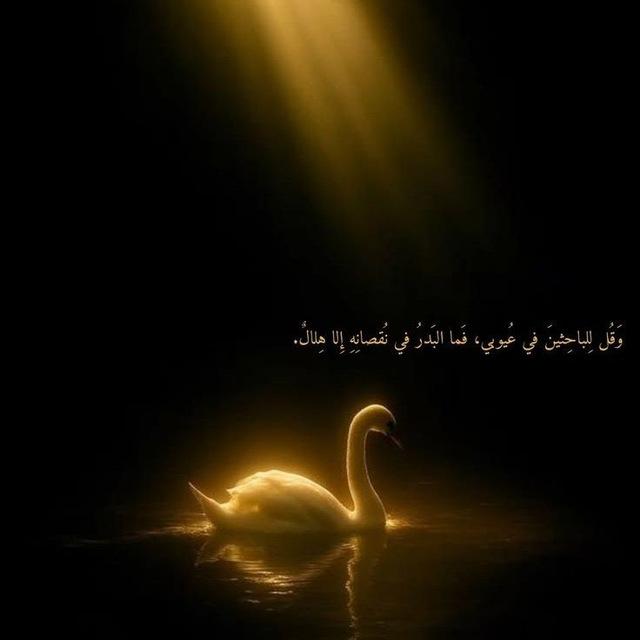 لـ فَـواطم ³¹³