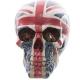 Uk patriots