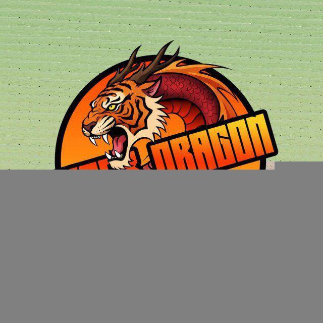 TIGER DRAGON OFFICIAL CHANNEL
