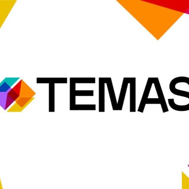 TEMAS 11