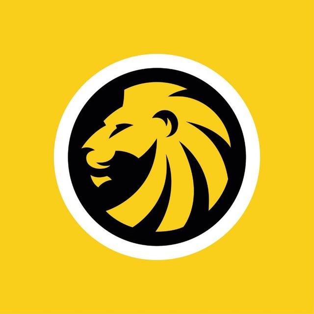 Binomo Quotex Olymp Trade