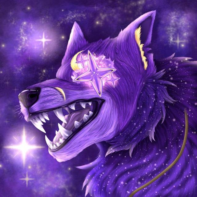 🐺 𝙈𝙞𝙧 𝙉𝙞𝙜𝙝𝙩 ⏤͟͟͞͞ 〄