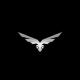 Eagle Shot Football Analysis