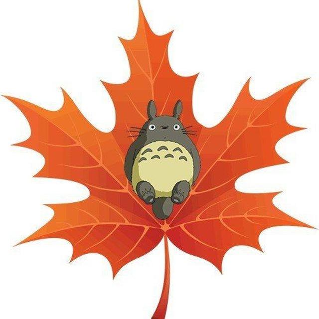 等枫再来