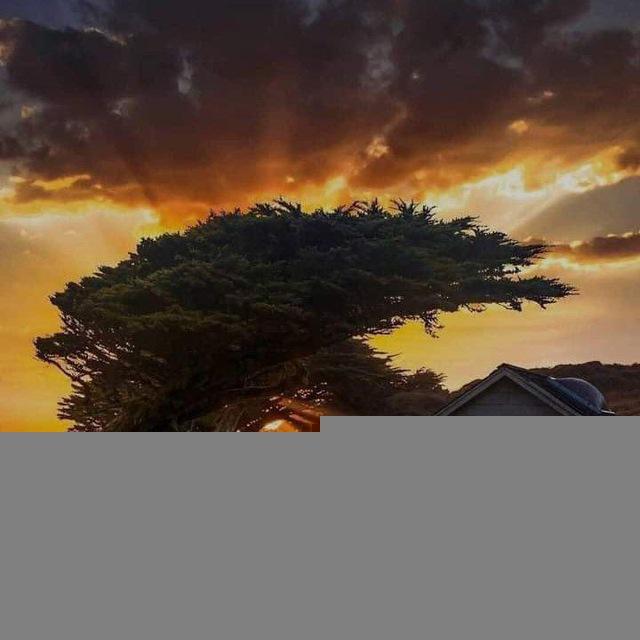 اصدقاء القرآن🤍🫀