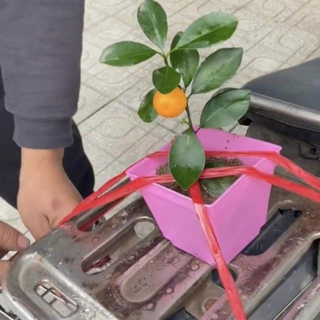CHỢ SALE CAMPUCHIA