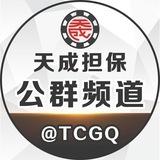 天成担保公群频道