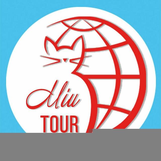 🌐Миу Тур🐈