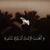 رَاحه سمعِية | صوتيات