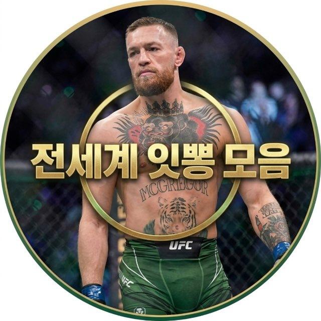 전세계 잇뽕 모음🔥