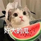 吃瓜 猎奇 热门 搞笑