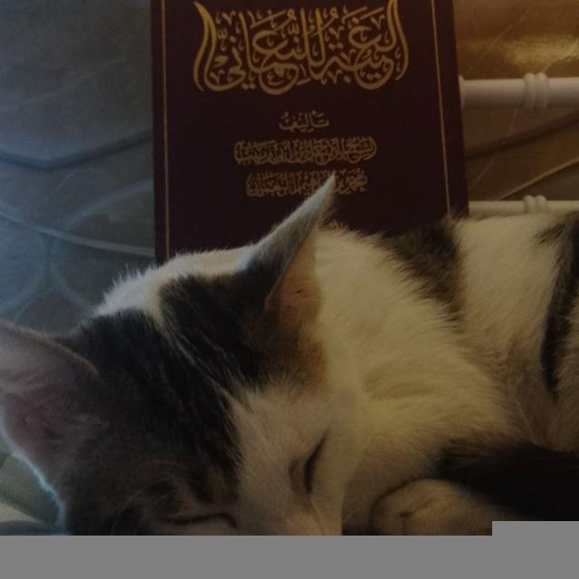 ميمز الشيعة
