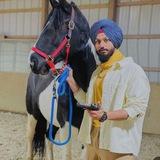 honey Punjabi Ipl Tipper