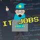 IT Jobs (DSML.KZ)