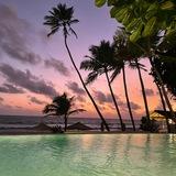 Аренда Шри-Ланка 🇱🇰