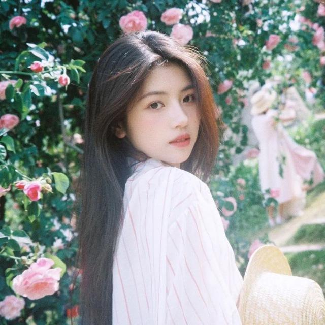📸摄影 | 写真集