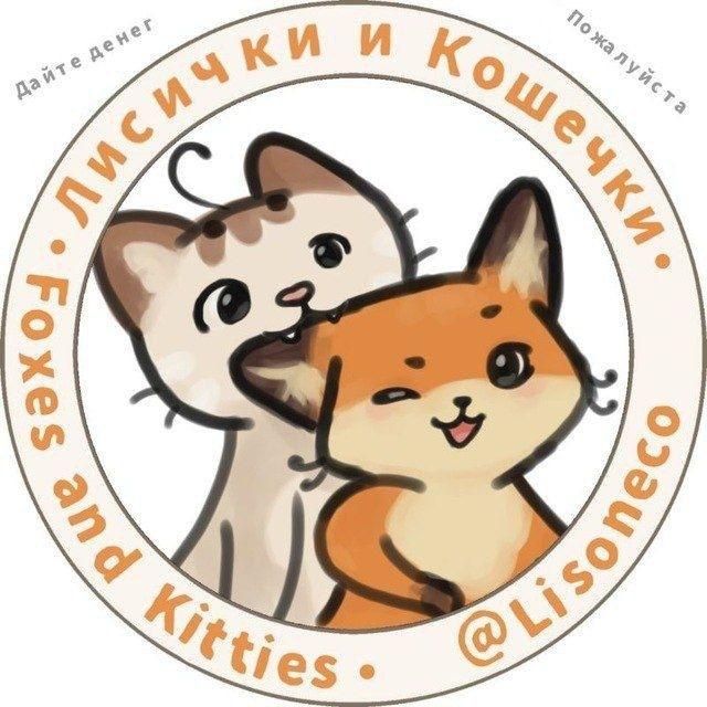 🦊Лисички и Кошечки🐱