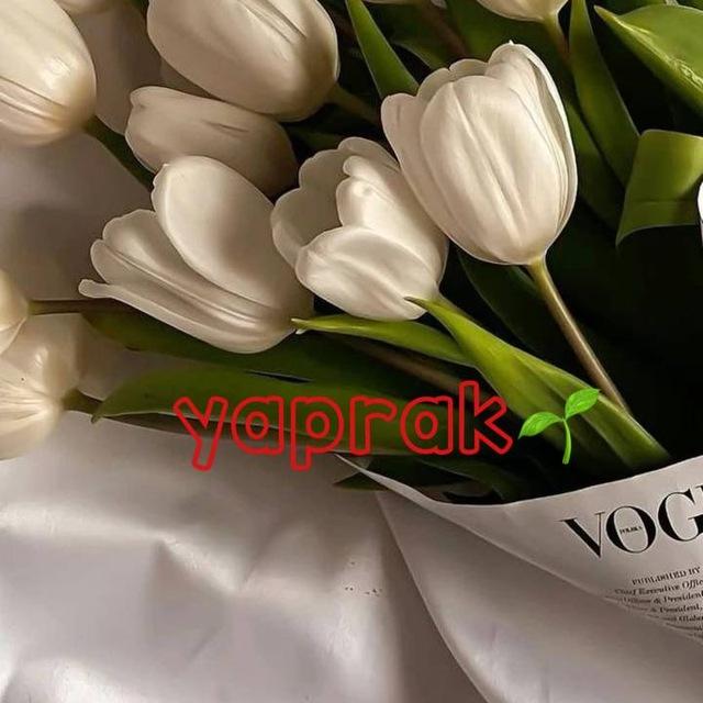 𝐘𝐚𝐩𝐫𝐚𝐤_𝐓𝐮𝐫𝐤𝐦 | یاپراک ترکمن🌱