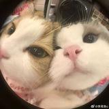 صور فيديوهات رومنسية