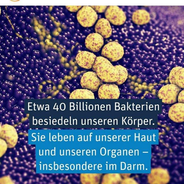Medizinischer Kanal🩺💊💉🩸🧬