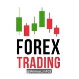FOREX TRADING •GOLD•