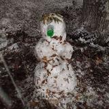 Не придумано