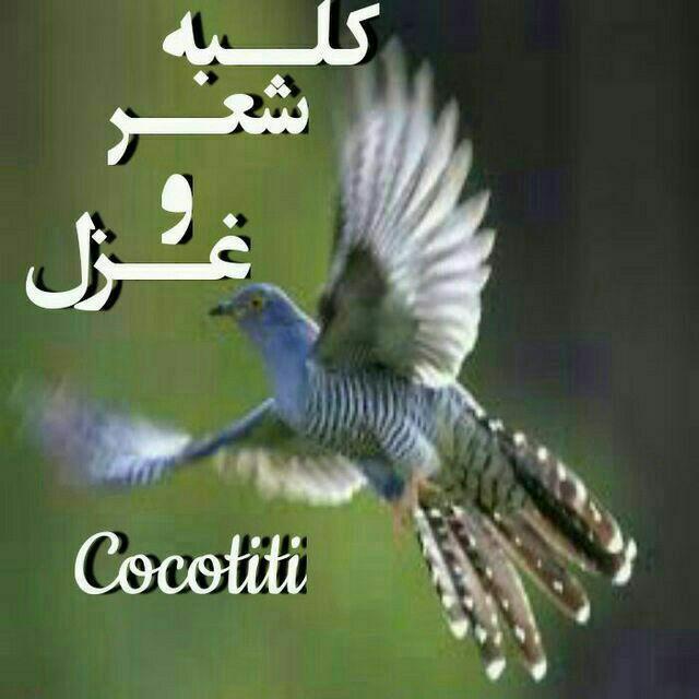 کلبه شعروغزل Cocotiti@