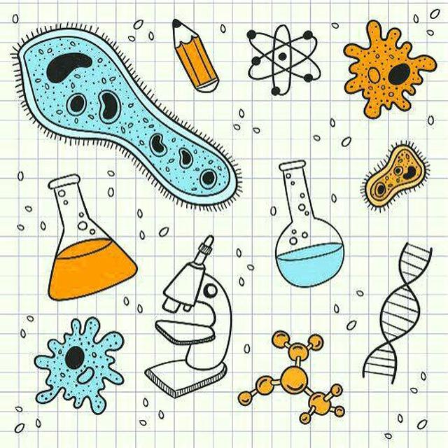 BioSalar_Ch