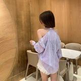 海淀糖糖
