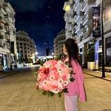 𝑯𝒂𝒃𝒊𝒃𝒊 𝒔𝒕𝒐𝒓𝒊𝒆𝒔✨