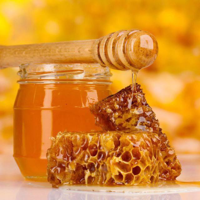 Башкирский мёд 🍯🐝 ОТВЕТЫ ВПР | ОГЭ | ГВЭ 2026
