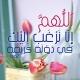آلُ البَيْت عَليهِمْ السَلام طَرِيقُ الهُدى🍎