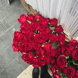 حَميد