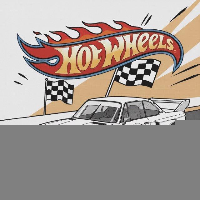 💀 Hot Wheels 💀