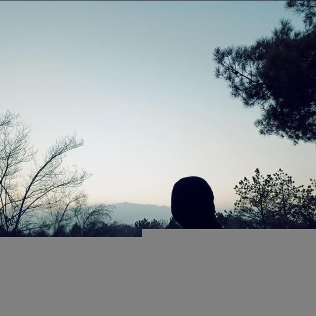 نرگِث