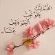 داکتر بشیراحمد احمدی