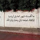 ᷂بـحّار.