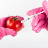 Biotechnology ( bsc and msc life science ,microbiology,cell and molecular biology and biochemistry )